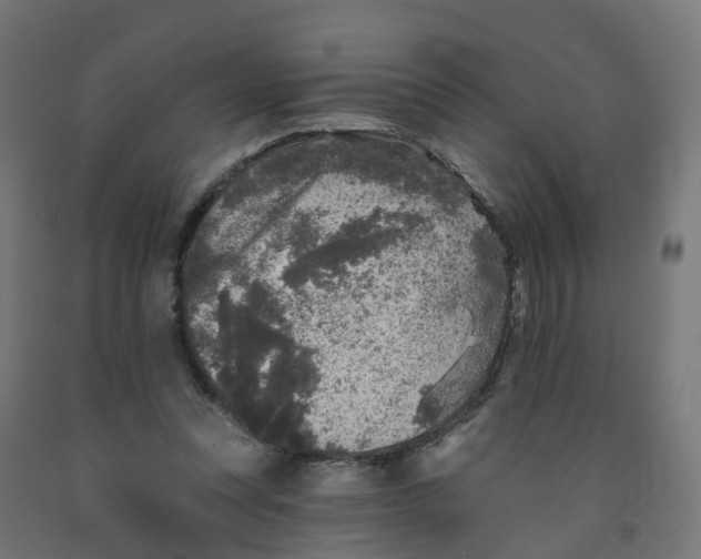 X0000091890351200710031807