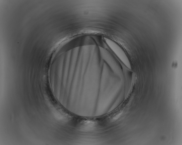 X0000091890352200710031807