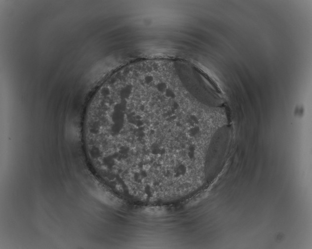 X0000091890353200710031807