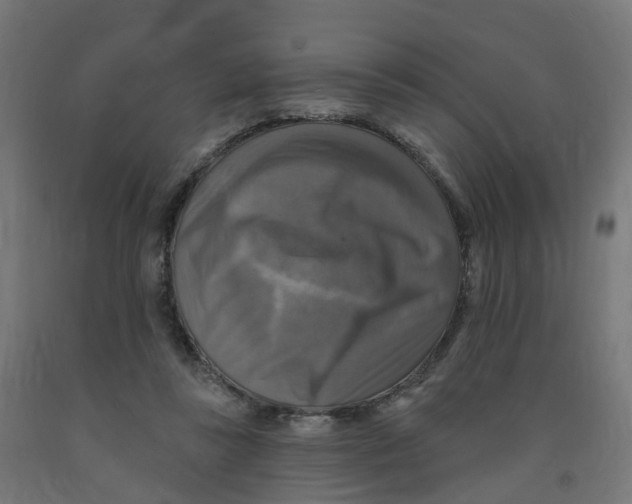 X0000091890355200710031807