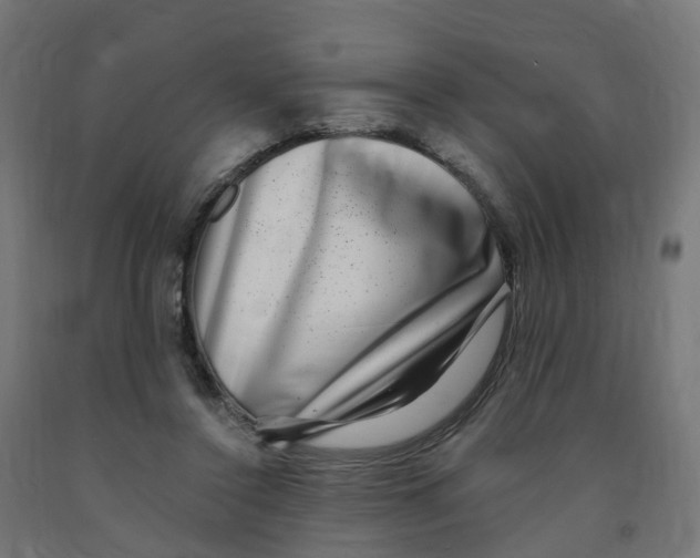 X0000091890356200710031807