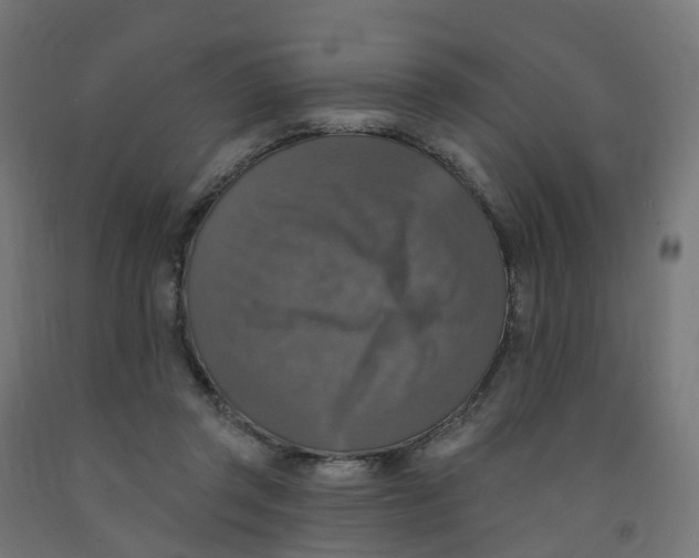 X0000091890357200710031807