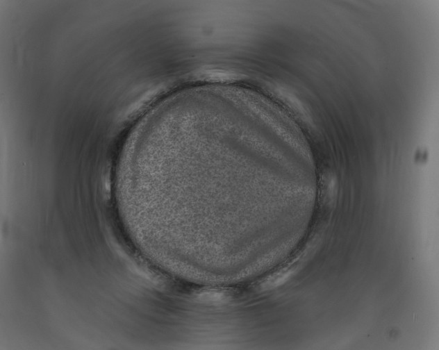 X0000091890358200710031807