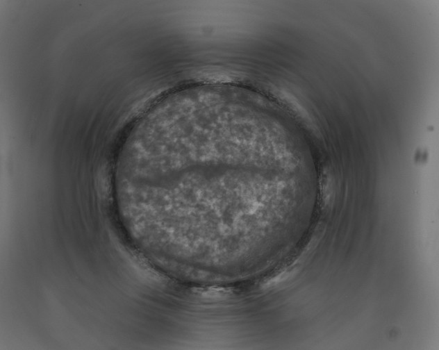X0000091890359200710031807
