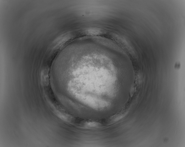 X0000091890360200710031807