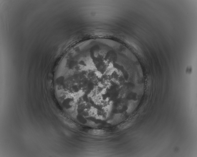 X0000091890361200710031807