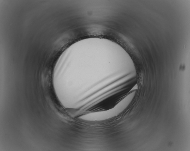 X0000091890364200710031807