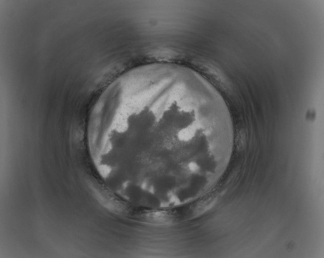X0000091890365200710031807