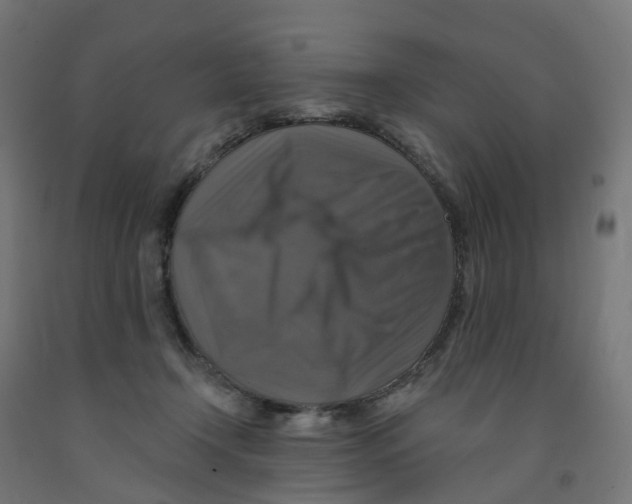 X0000091890366200710031807
