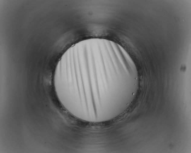 X0000091890368200710031807
