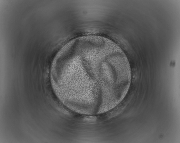 X0000091890369200710031807