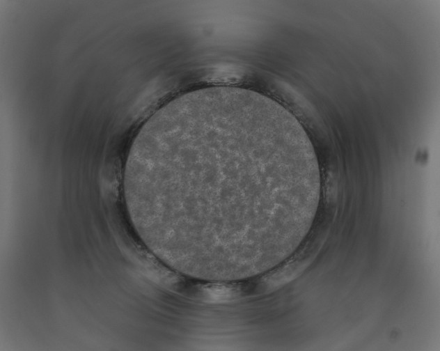 X0000091890370200710031807