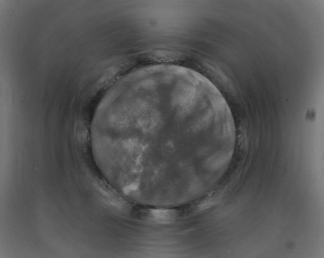 X0000091890371200710031807