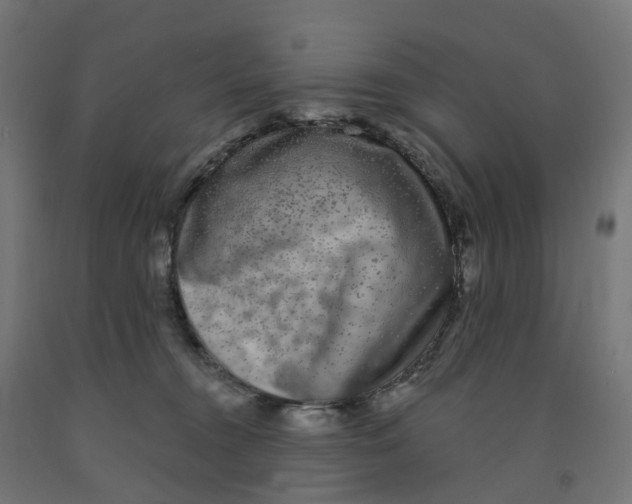 X0000091890372200710031807