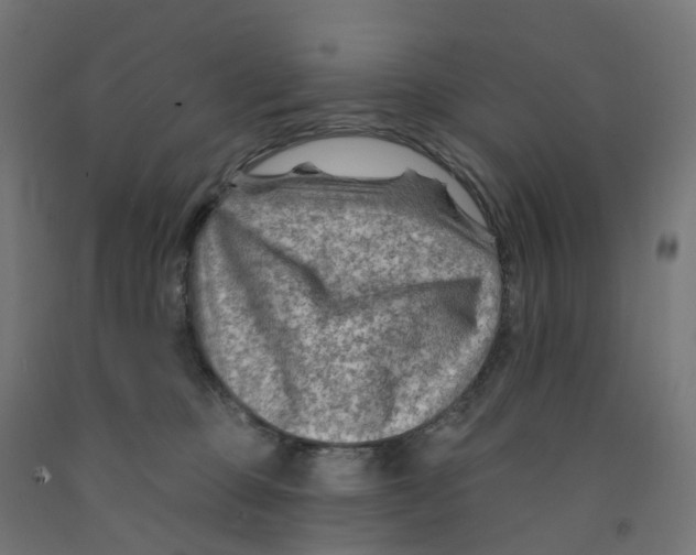 X0000091890373200710031807