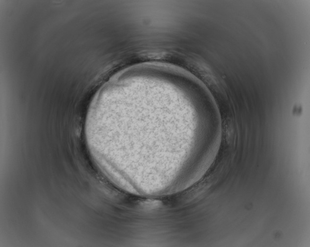 X0000091890374200710031807