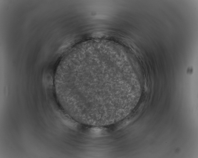 X0000091890375200710031807