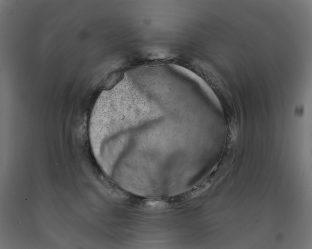 X0000091890376200710031807