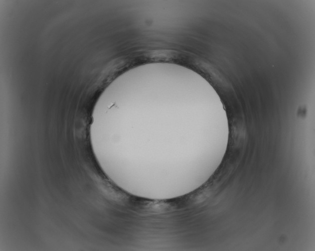 X0000091890379200710031807