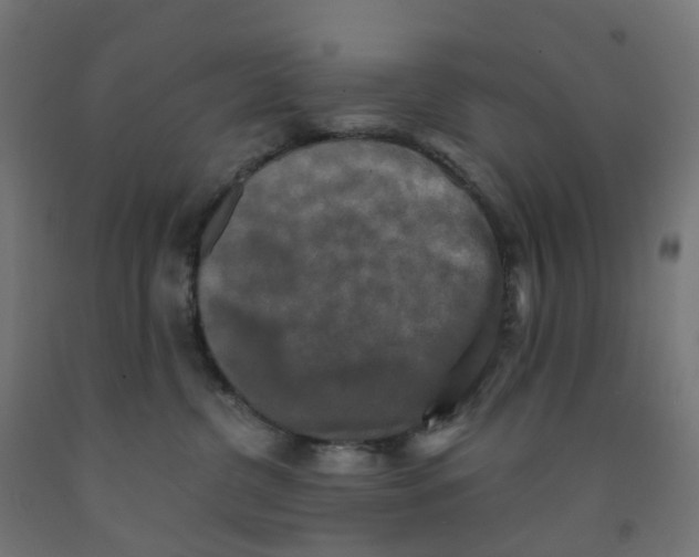 X0000091890380200710031807