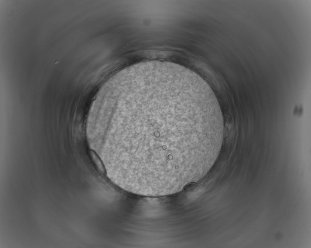 X0000091890381200710031807