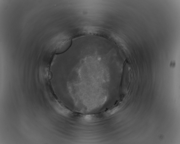 X0000091890382200710031807