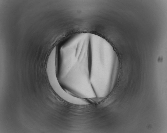 X0000091890384200710031807