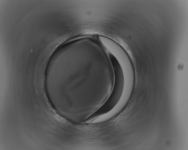 X0000091890385200710031807