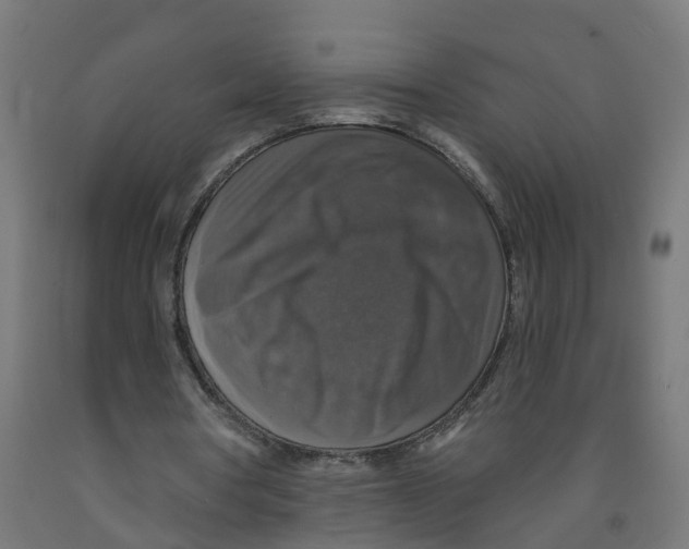 X0000091890386200710031807