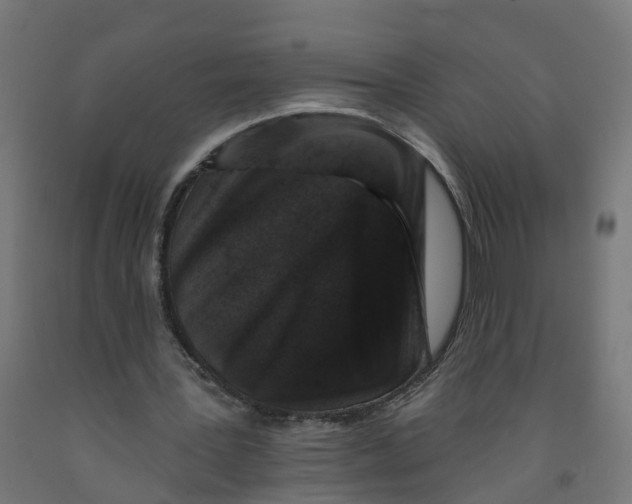 X0000091890387200710031807