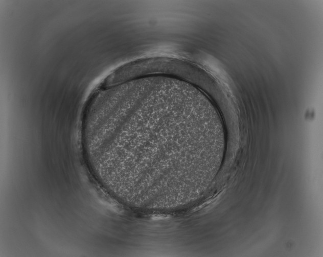X0000091890388200710031807