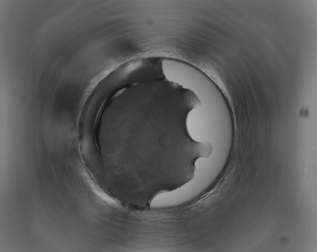 X0000091890389200710031807