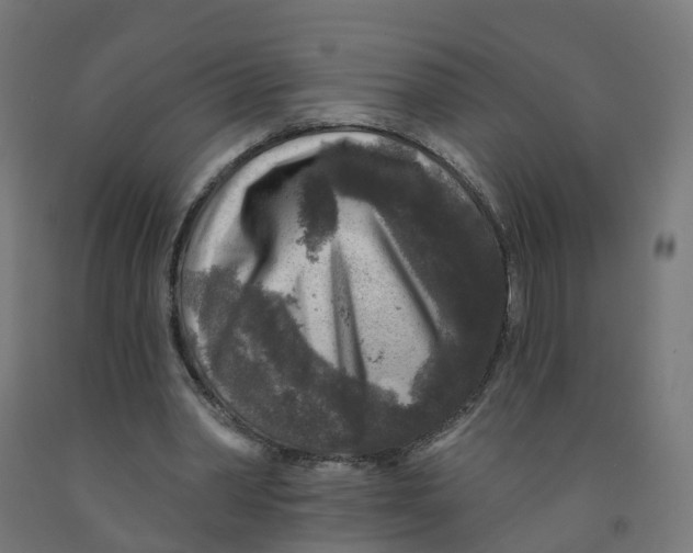 X0000091890390200710031807