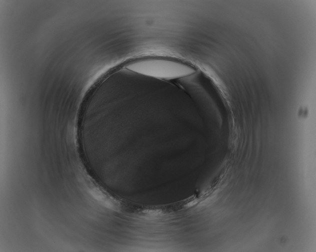 X0000091890391200710031807