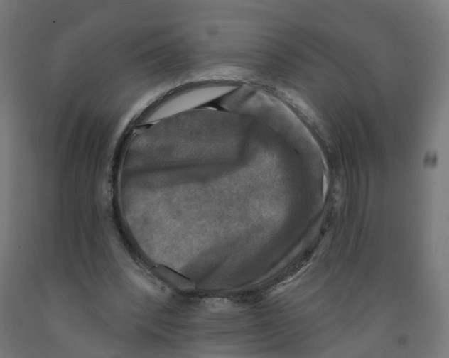 X0000091890392200710031807