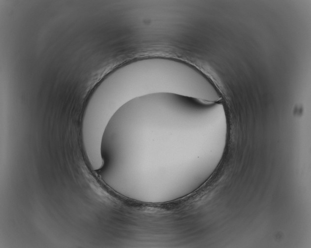 X0000091890393200710031807