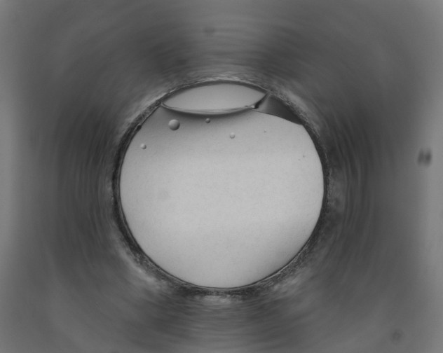 X0000091890394200710031807