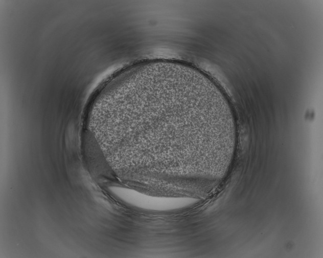 X0000091890395200710031807