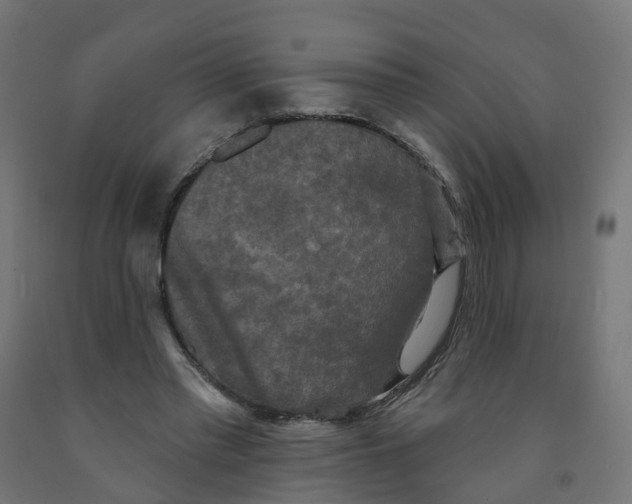 X0000091890397200710031807