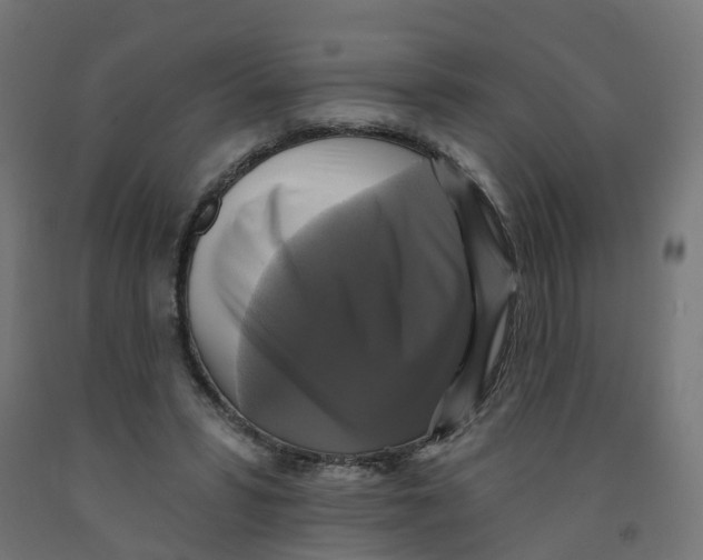 X0000091890399200710031807