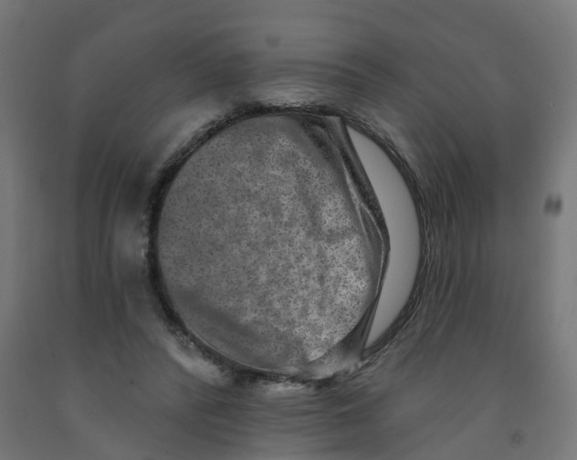 X0000091890400200710031807