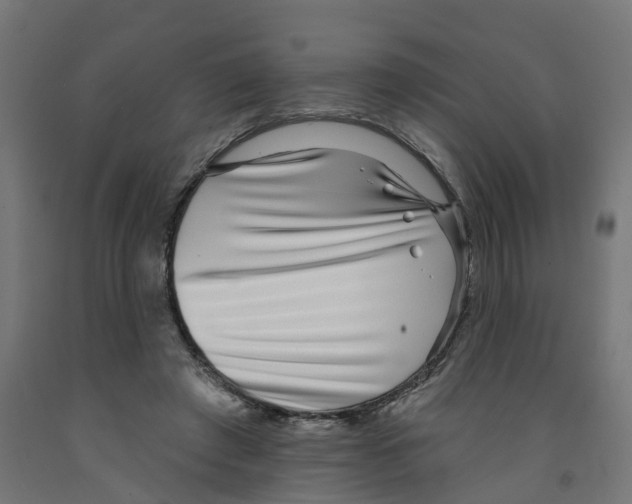 X0000091890401200710031807