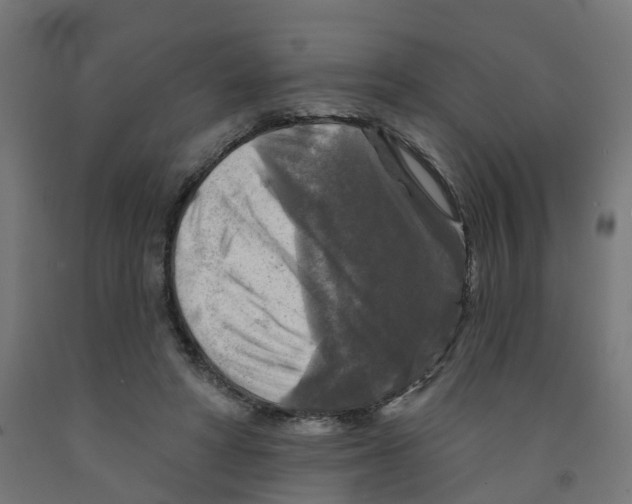 X0000091890402200710031806
