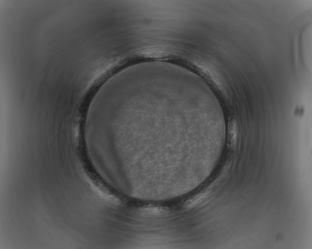 X0000091890404200710031806