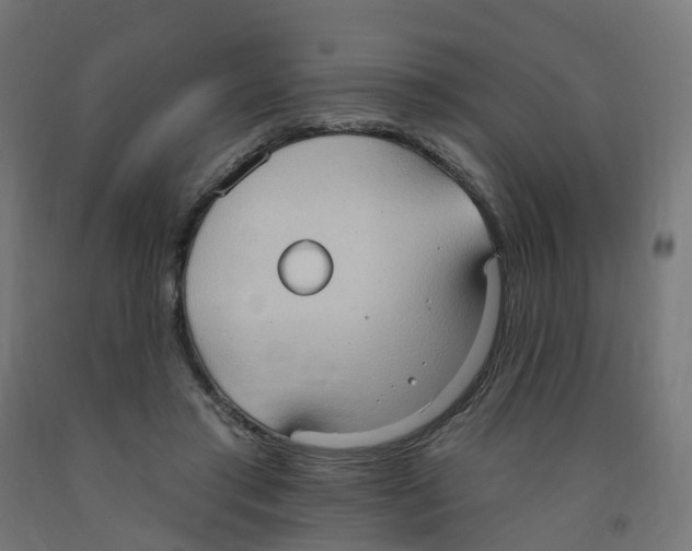 X0000091890405200710031806