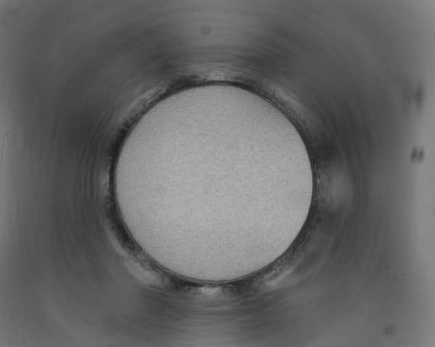 X0000091890406200710031806