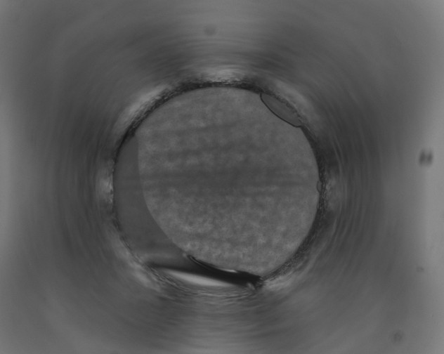 X0000091890407200710031806