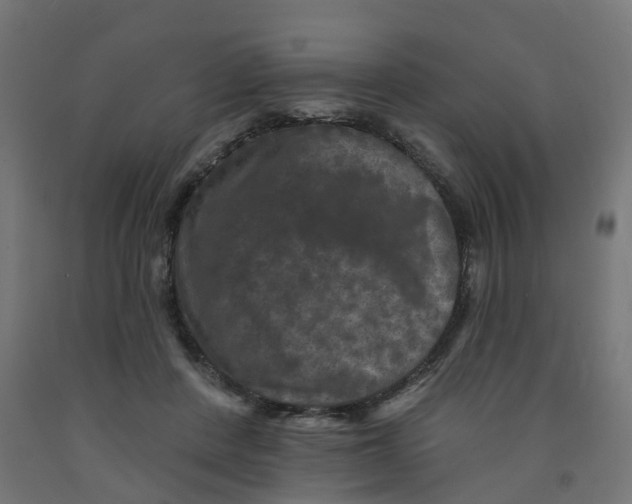 X0000091890408200710031806