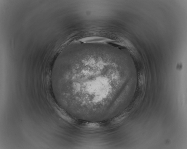 X0000091890409200710031806
