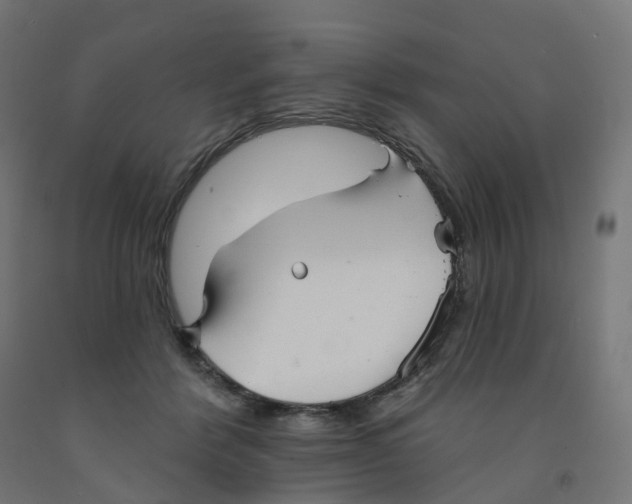X0000091890412200710031806